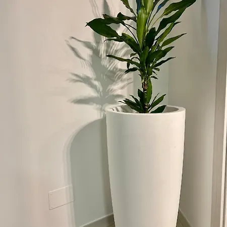 Basilicata Host To Host -home 2 Punto 0 - Apartman *