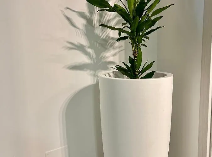 Basilicata Host To Host -home 2 Punto 0 - דירה *